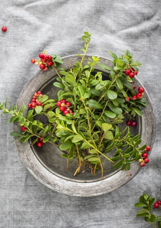 Hirvenlihapullat ja puolukkachutney