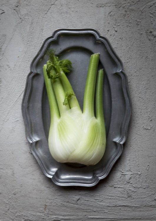 Fenkolikastike tai -keitto