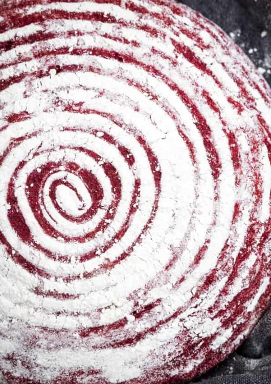 Punajuurihiivaleipä