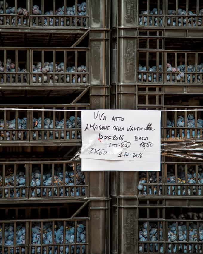 Amaronen asuinsijoilla