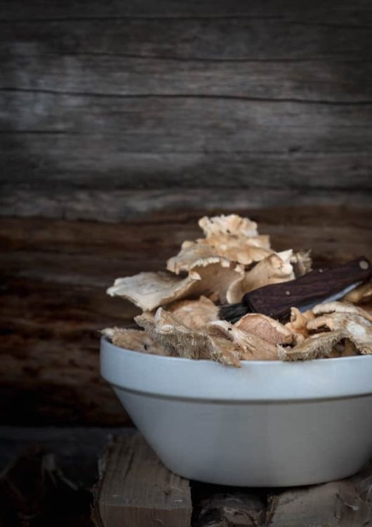 Vaaleaorakas ja speltti