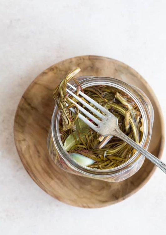 Pikkelöidyt horsmat