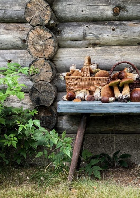 Pippurinen herkkutatitkastike