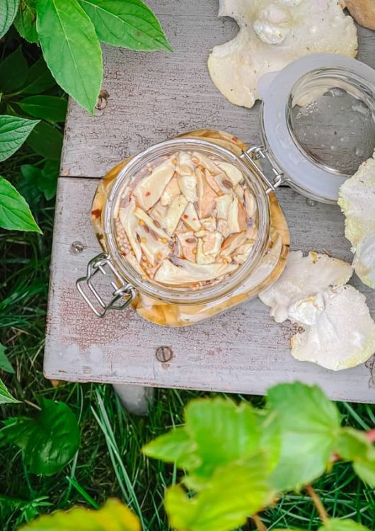 Pikkelöidyt sienet 1-1-1