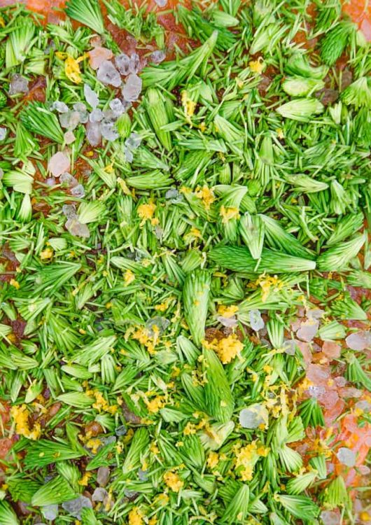 Kuusenkerkkägraavattu lohi