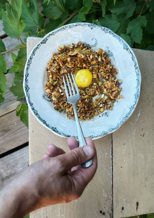 Friteerattu artisokka