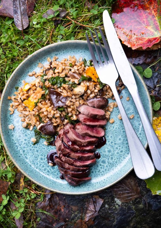 Paistettua sorsanfileetä, sieni-spelttilisuke ja kirsikkakastike