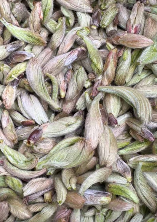 Pihlajansilmusiirappi